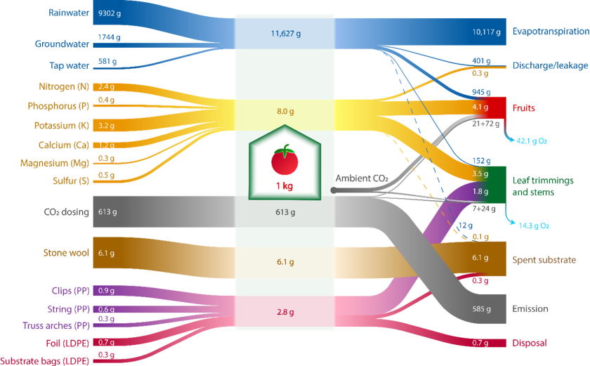 Material flow diagram of water, fertilisers, CO2, substrate and plastics for a tomato crop in the Netherlands. NB; within 1 type of material flow, the size of different flows can be compared. For example, it can be seen that of the fertilisers, potassium is used the most and magnesium the least. The size of flows cannot be compared between different material flows. This visualization method was chosen because water is by far the largest flow, so that the other material flows should be depicted negligibly small. Source: Van Tuyll, Boedijn et al. (2022)