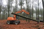 Weighing of the beech stem