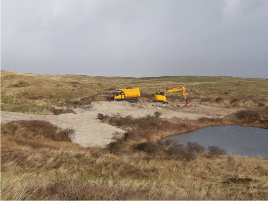 Bestrijding van rimpelroos in natuurgebied Zwanenwater te Callantsoog  